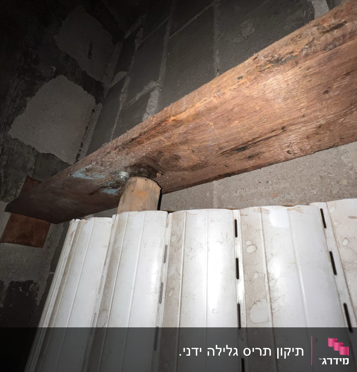 תריסים לבנים עם כתמים, עץ וברגים